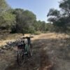 Pedalata inedita ad Alberese nel Parco della Maremma | Traccia GPX | LAVIA