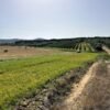 Pedalata inedita ad Alberese nel Parco della Maremma | Traccia GPX | LAVIA