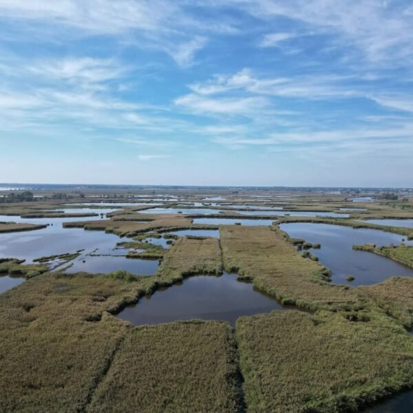 Gran Tour Strade di Lucca | Massaciuccoli | LAVIA