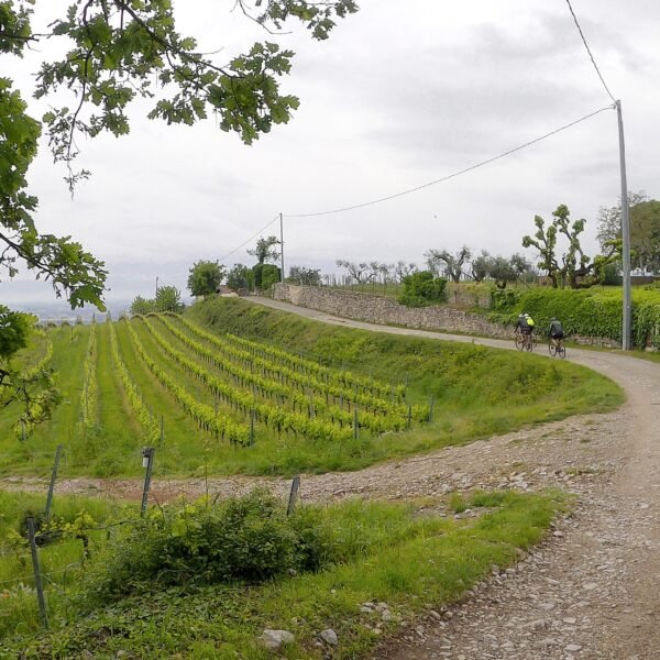 Via delle Sorelle in Gravel | Traccia GPX | LAVIA