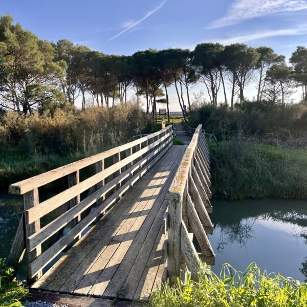 Passeggiata nel Parco Costiero della Sterpaia | Traccia GPX | LAVIA