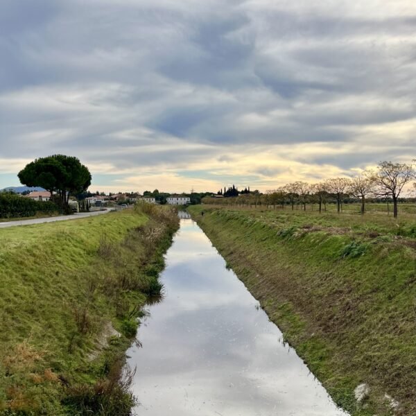 Anello della bonifica nella pianura grossetana | Traccia GPX | LAVIA