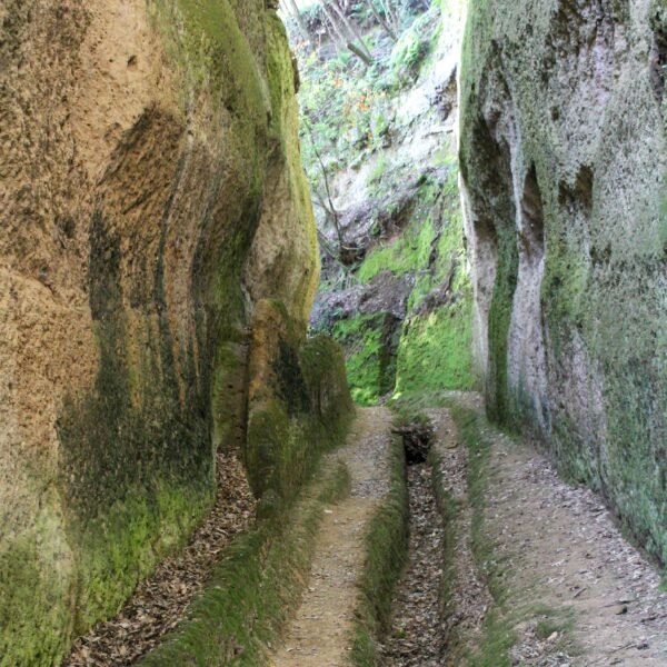 Le Vie Cave di Pitigliano | Escursione con la guida Giada Pellegrini | LAVIA