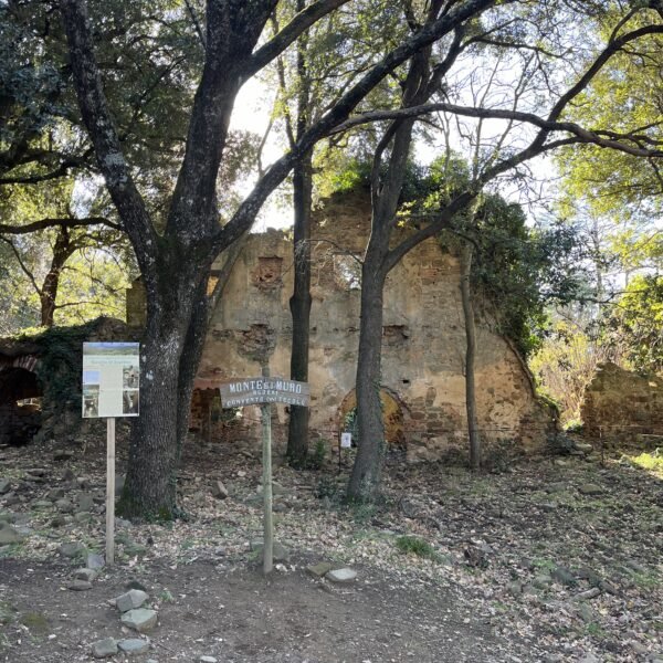 Escursione ad anello sul Monte Muro | Traccia GPX | Grosseto