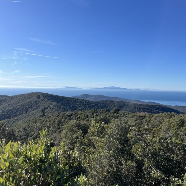 Escursione ad anello sul Monte Muro | Traccia GPX | Grosseto