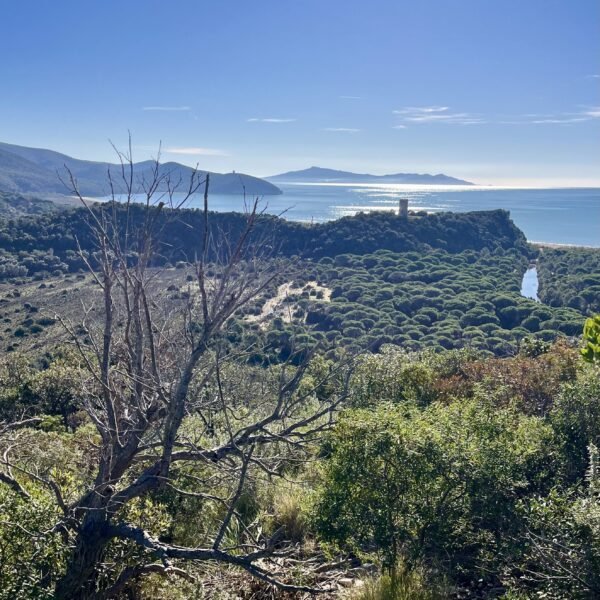 Itinerario A2 del Parco della Maremma | Traccia GPX | LAVIA