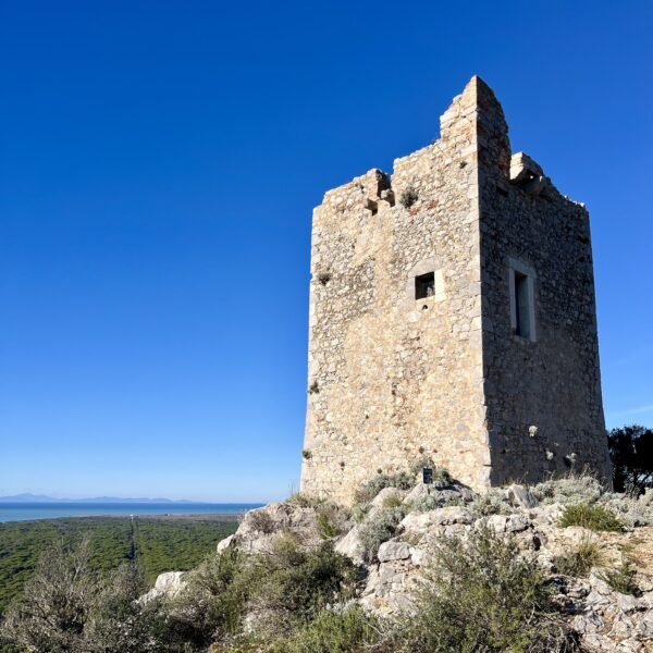Itinerario A2 del Parco della Maremma | Traccia GPX | LAVIA