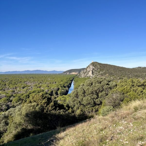 Itinerario A2 del Parco della Maremma | Traccia GPX | LAVIA