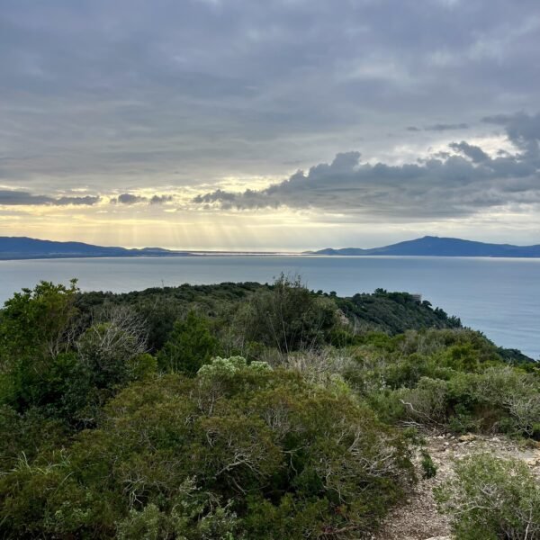 Itinerario T2 Cannelle, Parco della Maremma | LAVIA