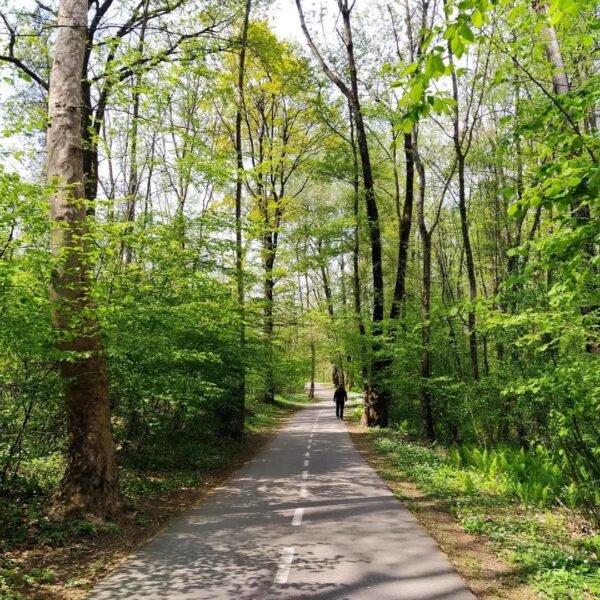 Pista Ciclabile del Lago di Varese | Traccia GPX | LAVIA