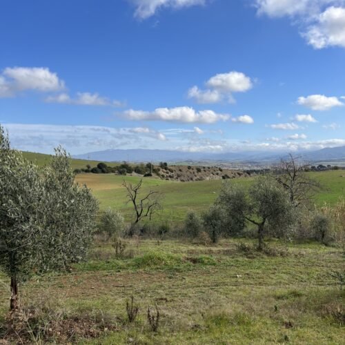 Viaggio in bicicletta nella Maremma | Traccia GPX | LAVIA