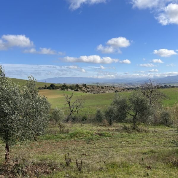 Viaggio in bicicletta nella Maremma | Traccia GPX | LAVIA