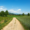 Cammino delle Comete | Traccia GPX | Franciacorta | LAVIA
