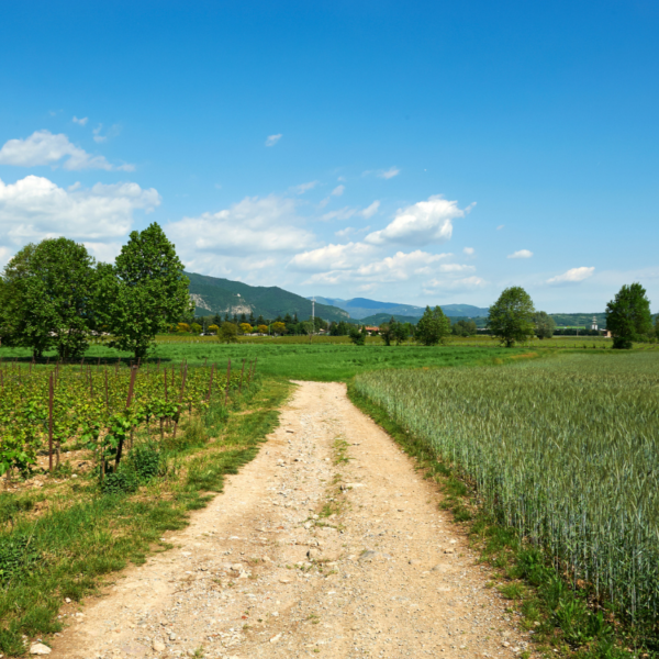 Cammino delle Comete | Traccia GPX | Franciacorta | LAVIA