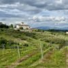 Escursione sulle colline dell'Impruneta | Traccia GPX | LAVIA