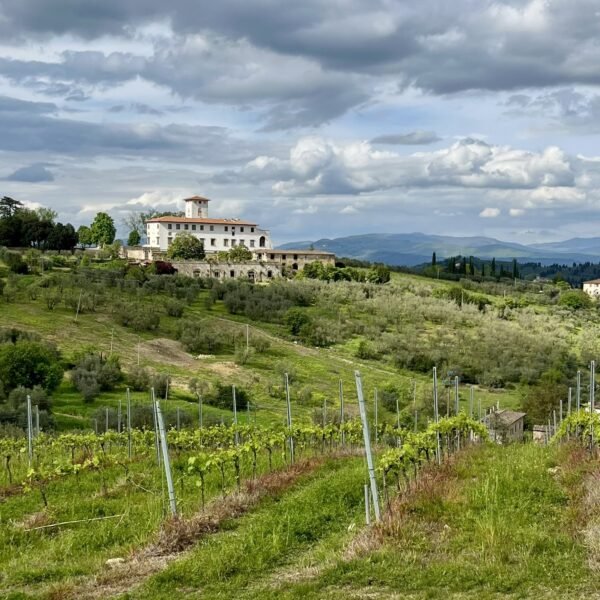 Escursione sulle colline dell'Impruneta | Traccia GPX | LAVIA