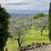 Escursione sulle colline dell'Impruneta | Traccia GPX | LAVIA
