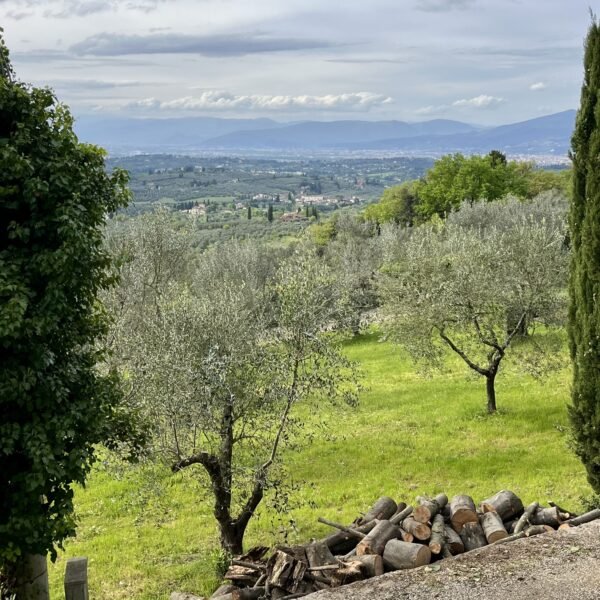 Escursione sulle colline dell'Impruneta | Traccia GPX | LAVIA