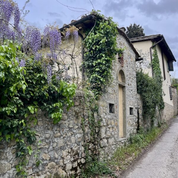 Escursione sulle colline dell'Impruneta | Traccia GPX | LAVIA