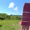 Pedalata sui Monti della Tolfa | Guida Cicloturistica | LAVIA