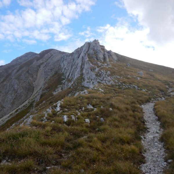 Cima delle Malecoste