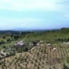Anello GRAVEL fra COLLINE e OLIVETI della MAREMMA TOSCANA | Traccia GPX | LAVIA