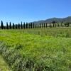 Freedom Bike Tour da Grosseto a Grilli | Traccia GPX | LAVIA