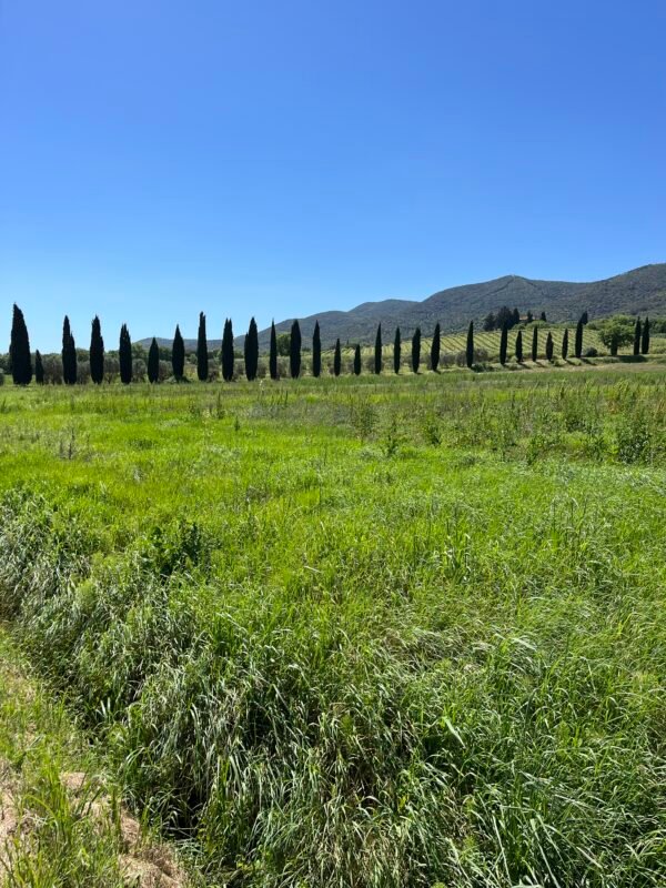 Freedom Bike Tour da Grosseto a Grilli | Traccia GPX | LAVIA