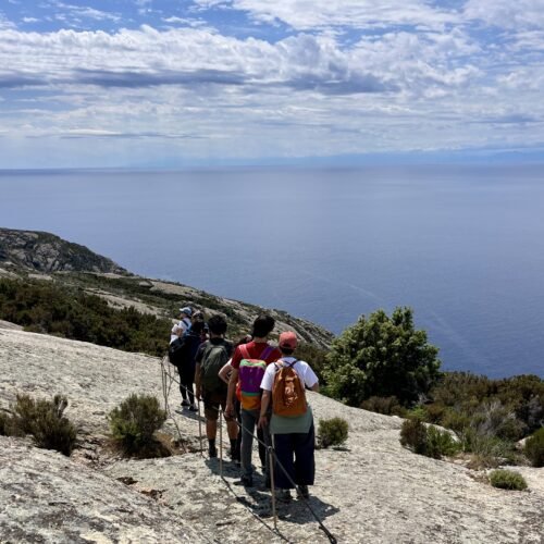 Come visitare l'Isola di Montecristo | Traccia GPX | LAVIA