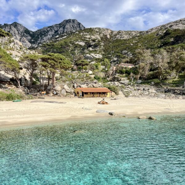Come visitare l'Isola di Montecristo | Traccia GPX | LAVIA