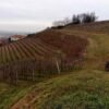 Corona di Delizie | Itinerario gravel Torino | LAVIA