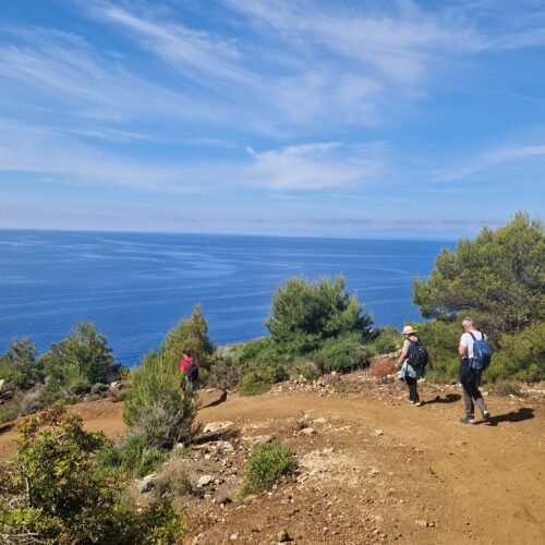 Come arrivare alla Spiaggia del Cannello | Isola d'Elba | LAVIA
