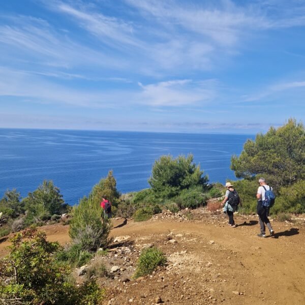 Come arrivare alla Spiaggia del Cannello | Isola d'Elba | LAVIA