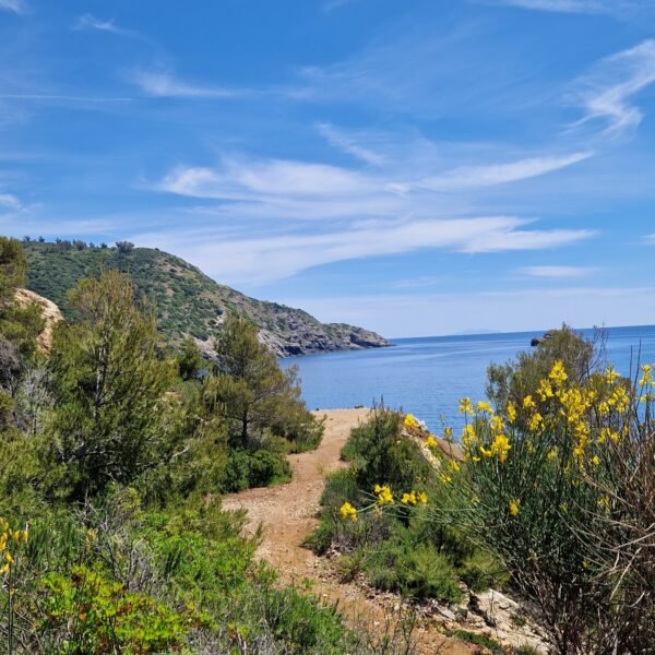 Sentiero per la Spiaggia del Cannello | Isola d'Elba | LAVIA