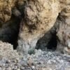 Riserva dello Zingaro da Scopello