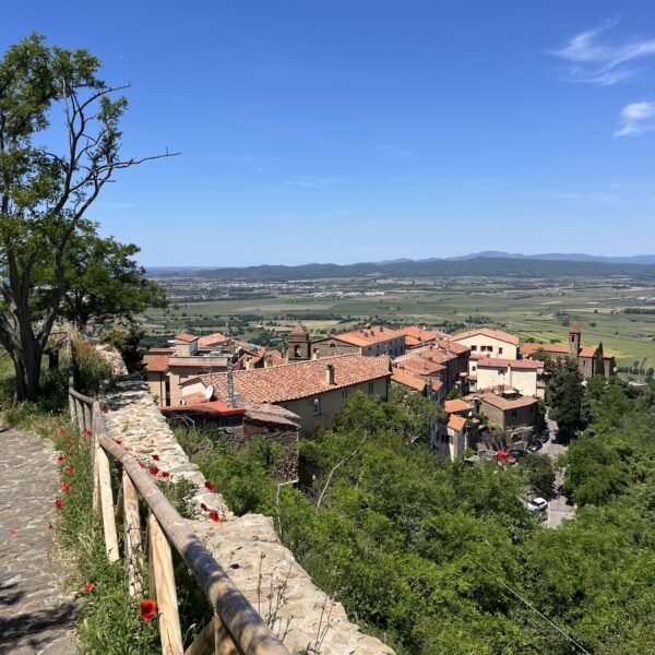 Scarlino: escursione ad anello | Traccia GPX | LAVIA