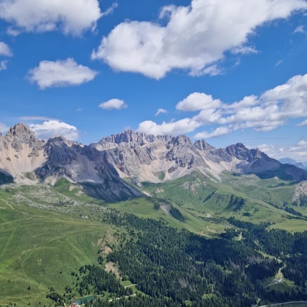 Escursione facile a Falcade | Sul Col Margherita da Passo Valles | Traccia GPX | LAVIA