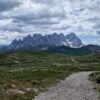 Escursione facile a Falcade | Sul Col Margherita da Passo Valles | Traccia GPX | LAVIA
