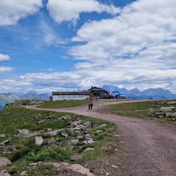 Escursione facile a Falcade | Rifugio Laresei | Traccia GPX | LAVIA