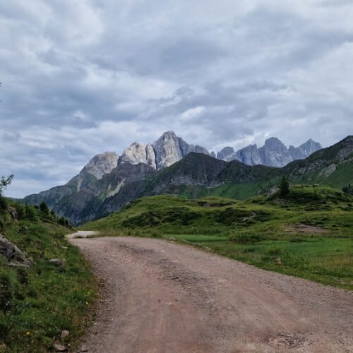 Escursione facile a Falcade | Sul Col Margherita da Passo Valles | Traccia GPX | LAVIA