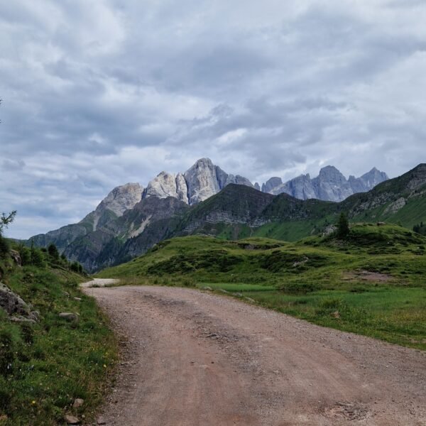 Escursione facile a Falcade | Sul Col Margherita da Passo Valles | Traccia GPX | LAVIA