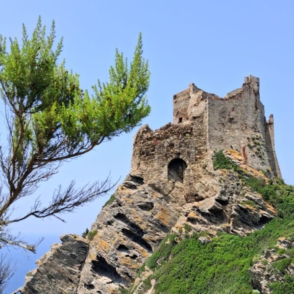 Escursione guidata sull'Isola di Gorgona | LAVIA