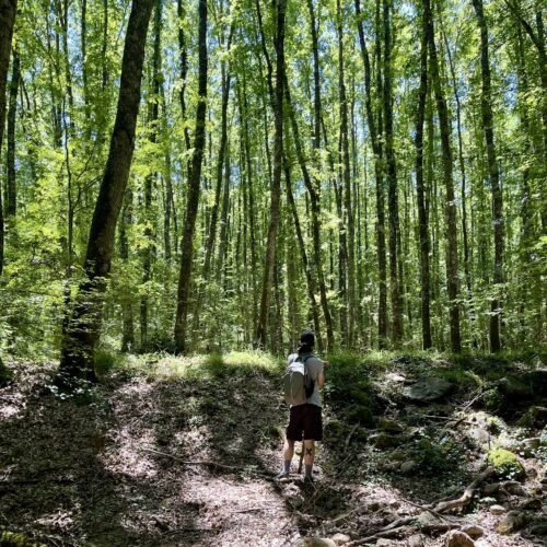 Acquatrekking nella Val di Farma | Traccia GPX | LAVIA