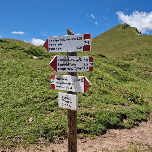Forcella Venegia | 2217 m | LAVIA