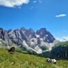 Vista sulla Val Venegia dal Passo Venegiota | LAVIA