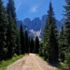 Sentiero Val Venegia, largo, in piano e adatto anche ai passeggini | LAVIA