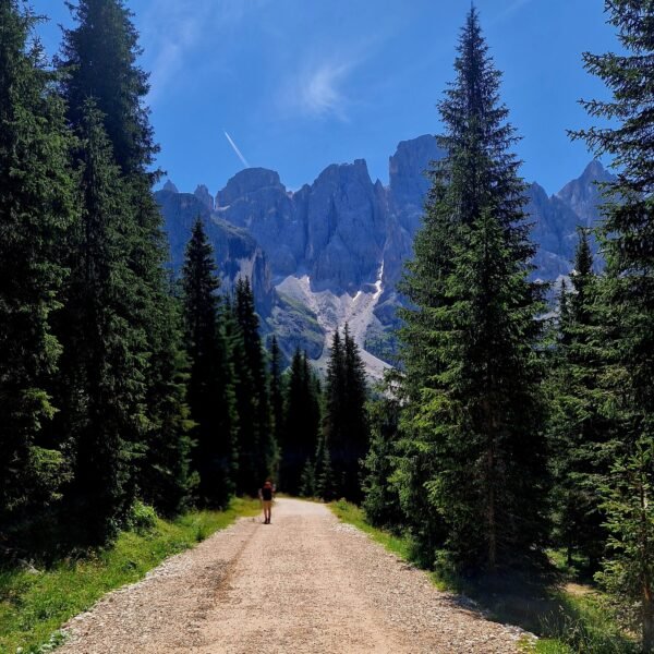 Sentiero Val Venegia, largo, in piano e adatto anche ai passeggini | LAVIA