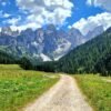 Escursione facile in Val Venegia | Traccia GPX | LAVIA