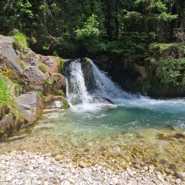 La Cascata della Val Venegia | LAVIA