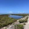 Bocca d'Ombrone in Gravel | Itinerario A7 nel Parco della Maremma